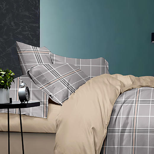 10楼 安睡宝 甄好棉印花套件-迪夫 吊牌价1299-1799元  活动价299-399元 商品图1