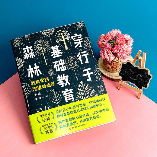 穿行于基础教育森林 教育实践沉思对话录 于漪老师zui新力作 教育思想 语文教育 商品图7