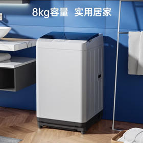 松下洗衣机全自动8公斤波轮 家用宿舍租房大容量 智能省电轻音 宽瀑布 松下洗衣机XQB80-T8700