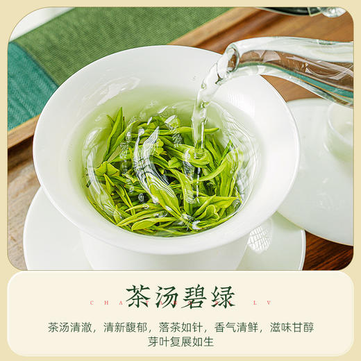 2024新茶恩施玉露早春明前特级优选 高山富硒绿茶罐装100g CM 商品图5