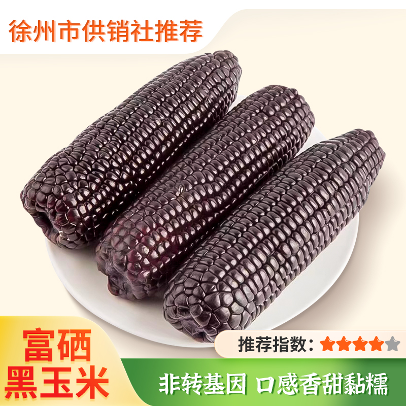 【小农仙】富硒黑玉米 非转基因 230g*6支礼盒