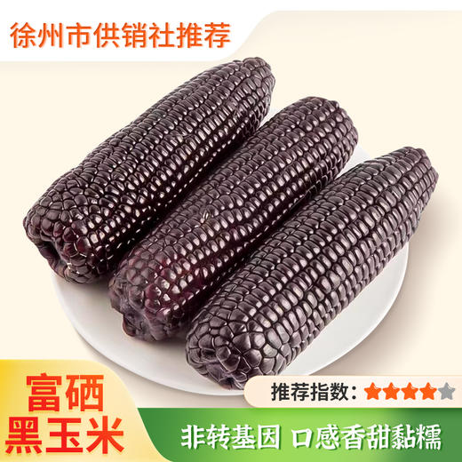 【小农仙】富硒黑玉米 非转基因 230g*6支礼盒 商品图0