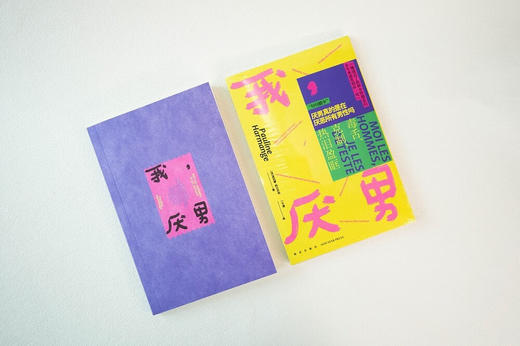 我，厌男（不是理论，而是态度，是对男性特权风趣辛辣的讽刺，也是对姐妹情谊的直白赞美） 商品图4