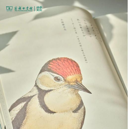 【商务印书馆涵芬文创】科普笔记本（1本） 商品图8