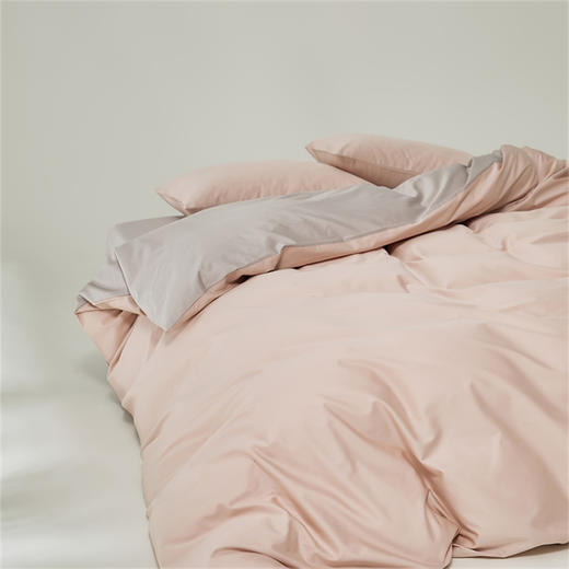 顶柔100s黄金长绒棉套件-TJ1360 商品图2