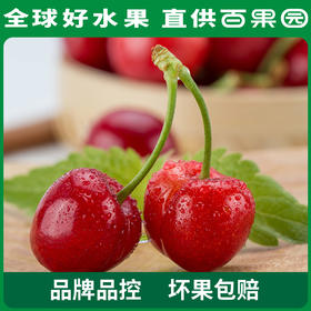PAGODA百果园 烟台美早大樱桃（J）2斤彩箱装
