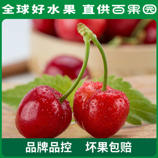 PAGODA百果园 烟台美早大樱桃（J）2斤彩箱装 商品图0