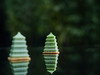 璞瑄酒店 | 瑄碧珠匣·盎然·艺术下午茶 商品缩略图2