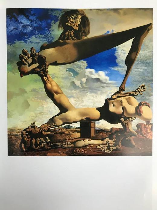 达利画集 数百幅彩色插图 精装大16开 商品图9