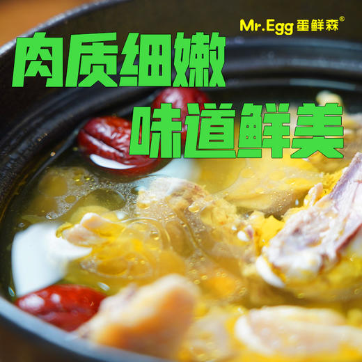 蛋鲜森 金奖肥西老母鸡 1只装 商品图5