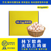 蛋鲜森 金奖肥西土鸡蛋30枚 1200g 商品缩略图0