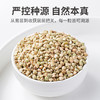 有机荞麦米450g/米砖 商品缩略图4