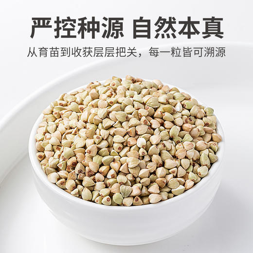 有机荞麦米450g/米砖 商品图4