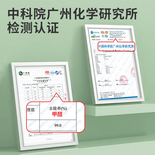 绿之源甲醛清除剂500ml2瓶光触媒去除甲醛喷剂新房入住用抗细菌除异味 商品图4