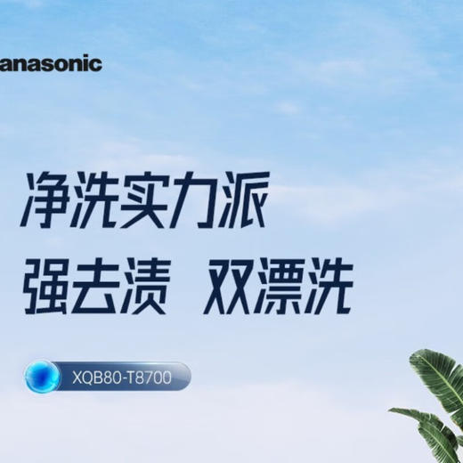 松下洗衣机全自动8公斤波轮 家用宿舍租房大容量 智能省电轻音 宽瀑布 松下洗衣机XQB80-T8700 商品图6