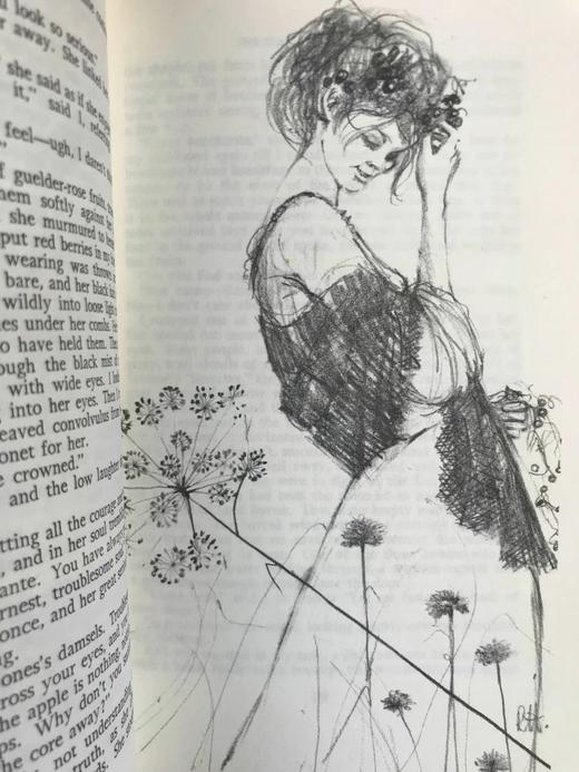 D.H.劳伦斯《白孔雀》（1968） 8幅插图 苍鹭出版社（HeronBooks）复古仿皮精装本 商品图7