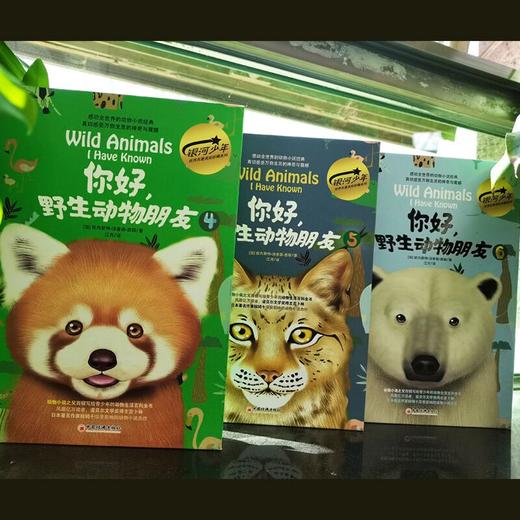 你好，野生动物朋友4（美绘精装版）“动物小说之父”西顿给青少年的野生动物百科全书9787513676335  科普经典 银河少年 商品图3