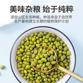 口感沙糯 豆香馥郁 | 方家铺子有机绿豆 杂粮豆类食材 煮粥煮绿豆沙 500g/米砖