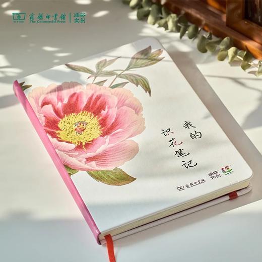 【商务印书馆涵芬文创】科普笔记本（1本） 商品图1