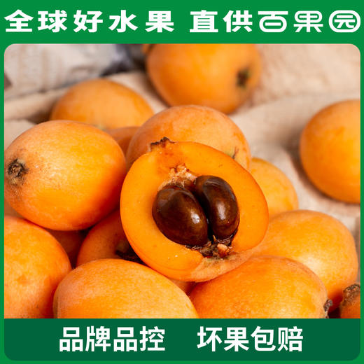 PAGODA百果园 米易枇杷（大）5斤彩箱装 商品图2