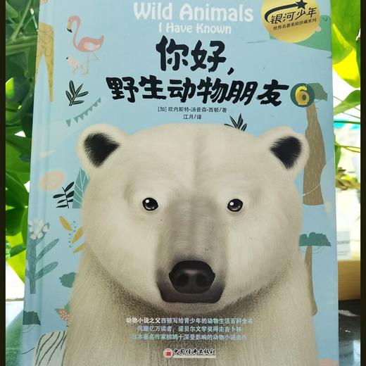 你好，野生动物朋友6（美绘精装版）“动物小说之父”西顿给青少年的野生动物百科全书9787513676359科普经典 银河少年 商品图2