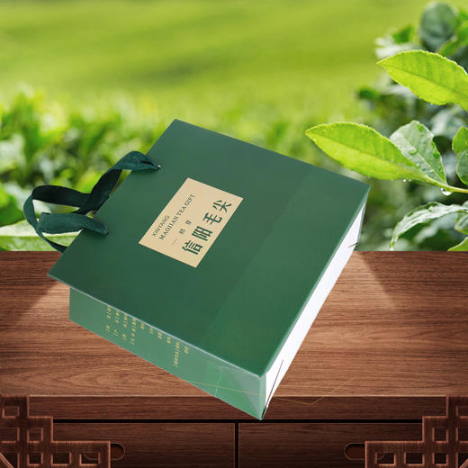 初芽【毛尖.半斤装手提袋】0.9元1条.整捆50个.300个包邮 商品图2