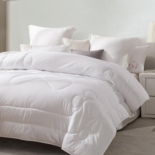 红秀世纺 抗菌水洗幸福被 SF2309-T001 商品图2