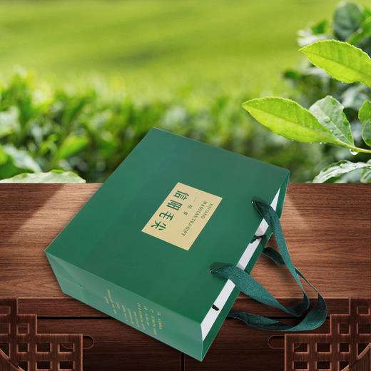 初芽毛尖套装【绿.1斤装.1提4个二两半听】6.8元1套.整箱50套 商品图3