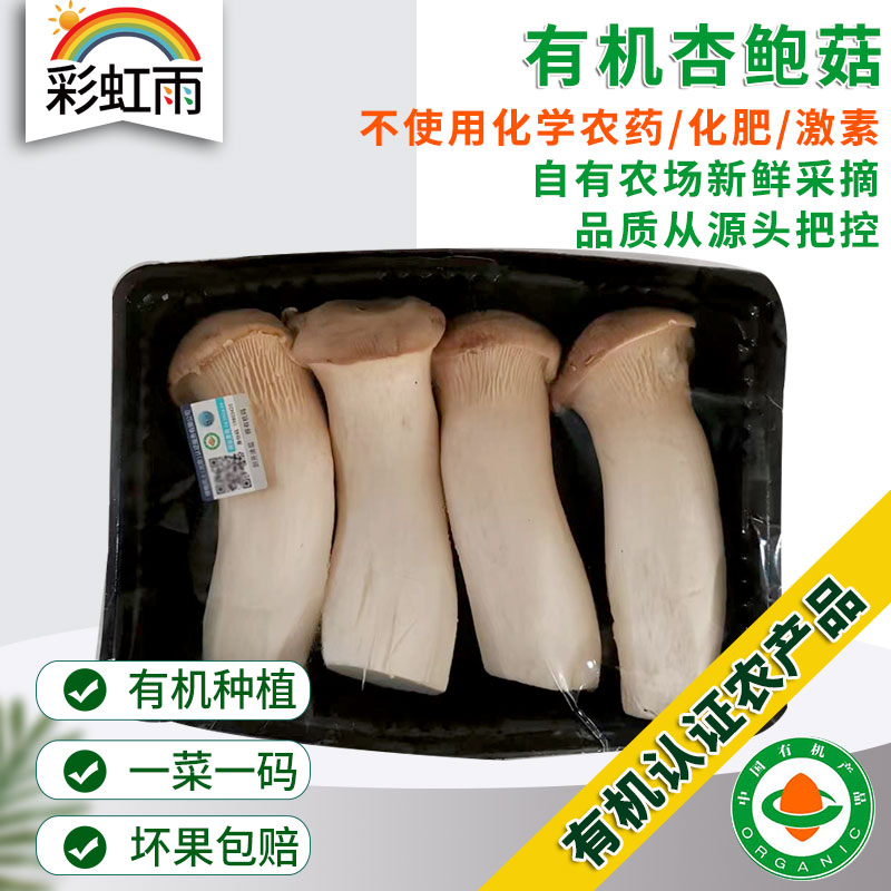 有机食用菌菇杏鲍菇200g 有机认证新鲜菌菇京津冀满百包邮