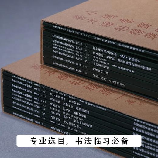 《小残卷斋藏善本碑帖精选·篆隶卷&楷行卷》中国嘉德善本古籍部 主编 商品图1