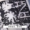 《小残卷斋藏善本碑帖精选·篆隶卷&楷行卷》中国嘉德善本古籍部 主编 商品缩略图4