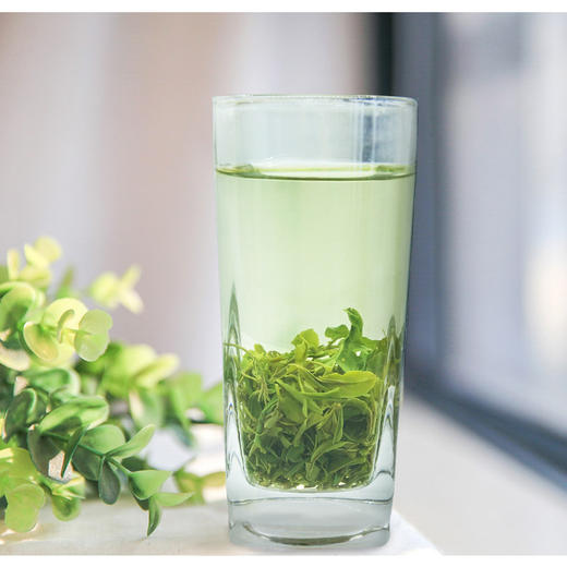 泥巴哥2025新茶明前春茶5星云雾清香绿茶125g*2袋 商品图2