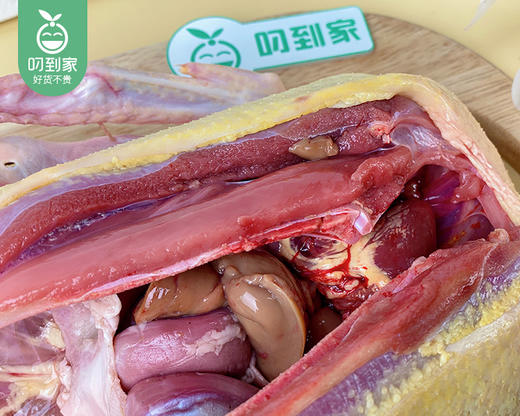 洛江山头水库散养210天白正番鸭母 (杀完带内脏2kg±100g/只） 商品图2