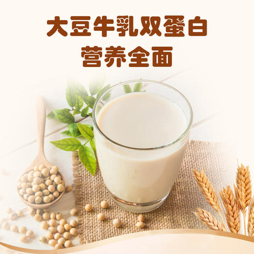 【早餐搭子】贝因美豆奶粉固体饮料（重磅返场，新鲜批次） 商品图3