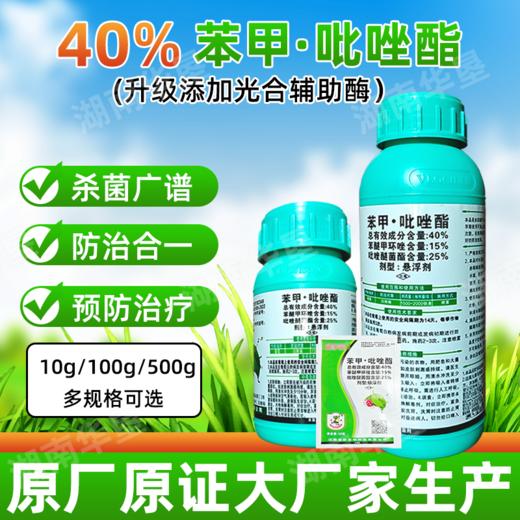 40%苯甲吡唑酯苯醚甲环唑吡唑醚菌酯葡萄白粉病农药杀菌剂杀病菌 商品图2