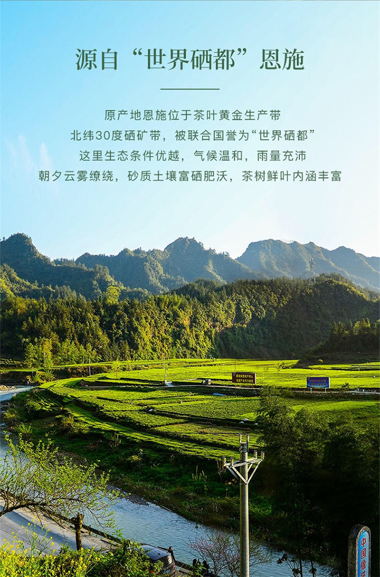 八马茶业春茶绿茶东湖之光恩施玉露礼享装192g