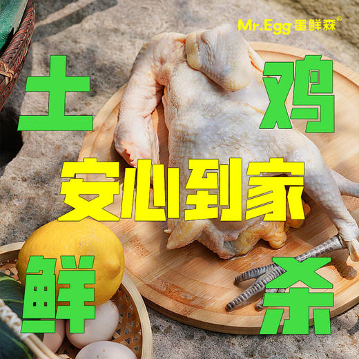 蛋鲜森 金奖肥西老母鸡 1只装 商品图4