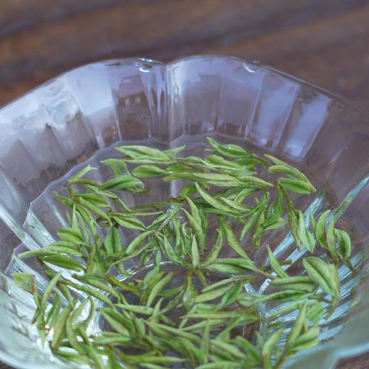 2026年【靖安白茶】特级 商品图5