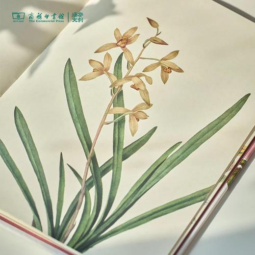 【商务印书馆涵芬文创】科普笔记本（1本） 商品图5