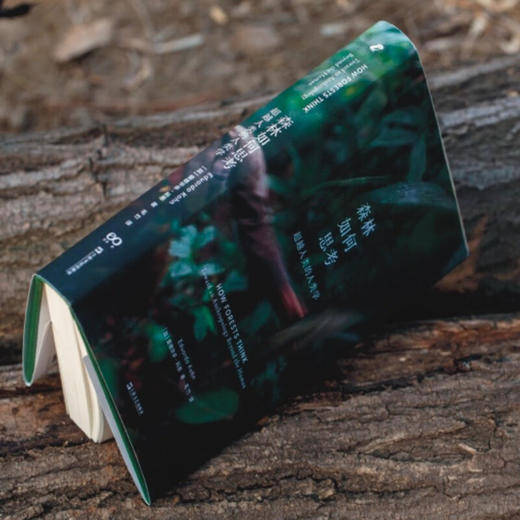 森林如何思考:超越人类的人类学（加）爱德华多·科恩 著 商品图3