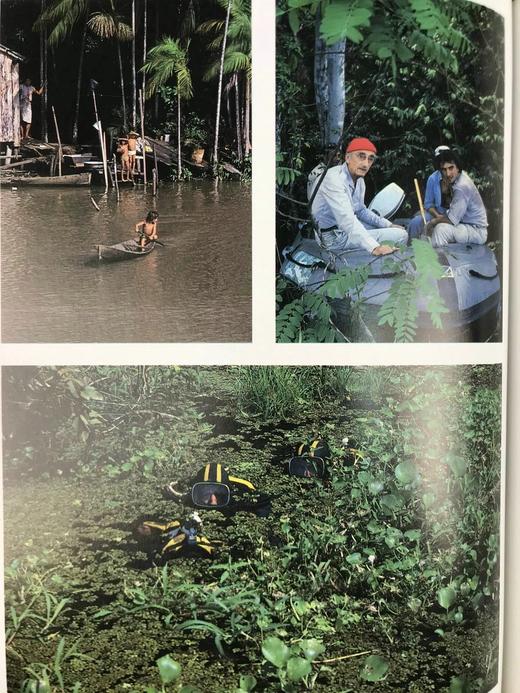 雅克·库斯托的亚马逊之旅 250余幅彩色插图 精装大16开 商品图13