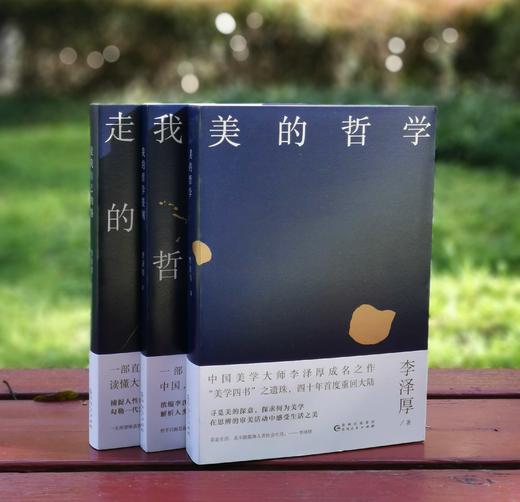 李泽厚三种：《美的哲学》《我的哲学提纲》《走我自己的路》，32开平装，李泽厚著，贵州人民出版社2020年一版一印，三册定价：198，售价68元。 商品图3
