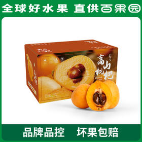 PAGODA百果园 米易枇杷（小）3斤彩箱装