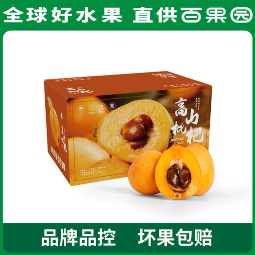 PAGODA百果园 米易枇杷（大）5斤彩箱装 商品图0