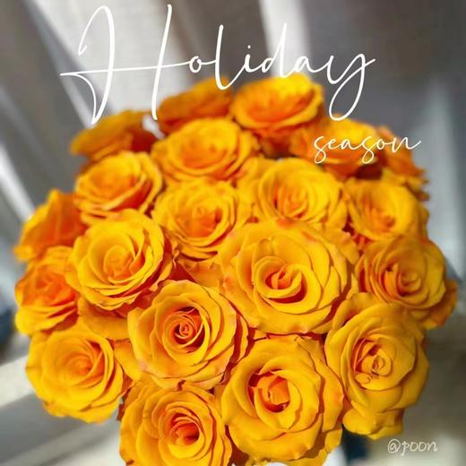 【金碧辉煌】玫瑰-黄色系 10枝 | 新客福利 商品图1