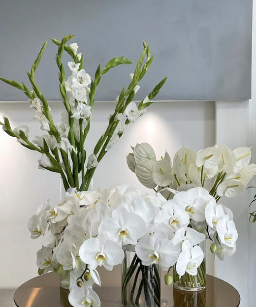 【幸福的来临】进口高质感--白蝴蝶兰  约6-7朵 商品图12