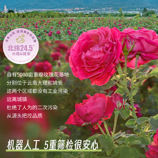 潘祥记官方旗舰店[200g群芳鲜花饼] 商品图6