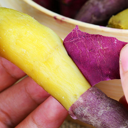 【天目山小香薯】手指小香薯 整箱发货 3斤/5斤装 商品图3