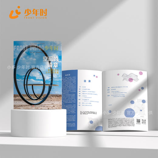 少年时111 空间的诗章 : 装置艺术与公共艺术欣赏 包邮 商品图1