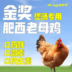 蛋鲜森 金奖肥西老母鸡 1只装